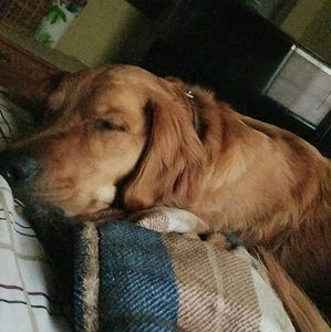 Meet your Posher, Mason